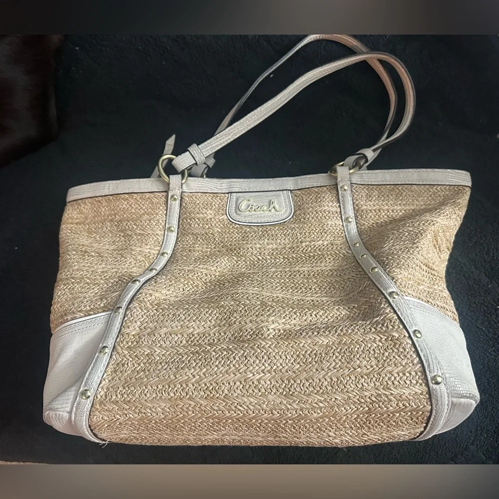 Coach Alexandra Python Straw Tote - Picture 7 of 13